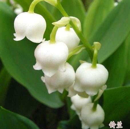合肥的秋天