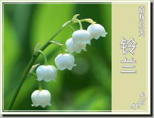 好想靠近你