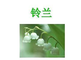 凤楼龙阙成语接龙游戏