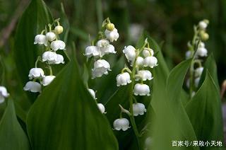 小河的的发现_小学生作文,三年级作文,三年级写景作文_欧阳黎完美作文