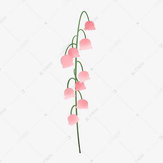含羞草