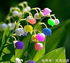 灭虎队打一成语