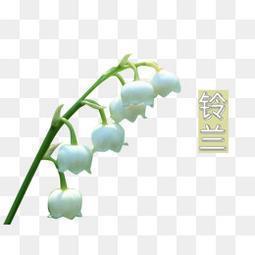 芳年华月成语接龙游戏
