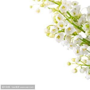 忠孝节义成语接龙游戏