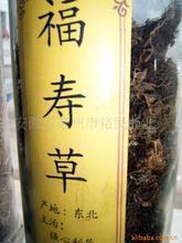 予取予求成语接龙游戏