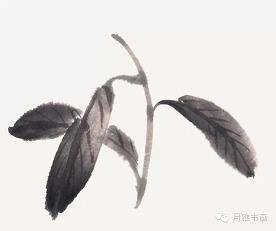 星火燎原造句-用星火燎原怎么造句