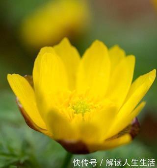 中秋节到了