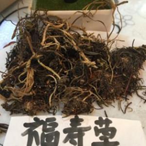 《走向近代》缩写