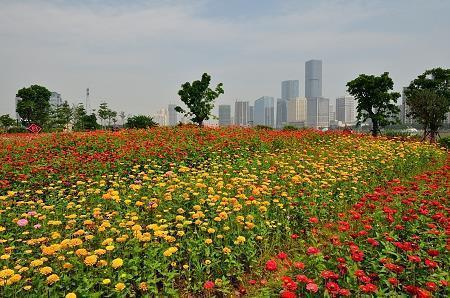 罪大恶极打一成语
