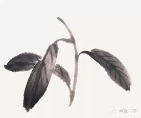 小院