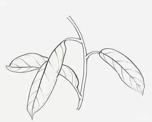 铿锵有力造句-用铿锵有力怎么造句