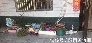 抛头露面造句-用抛头露面怎么造句