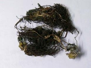 堵着耳朵偷闹钟打一成语