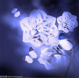 一个特别的梦