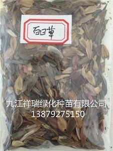 乃武乃文成语接龙游戏