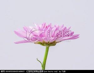 五彩的实践活动