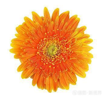 CF战记之永恒的友谊