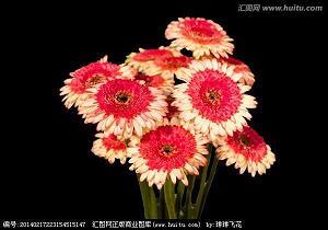 寻得一方自己的“池塘”