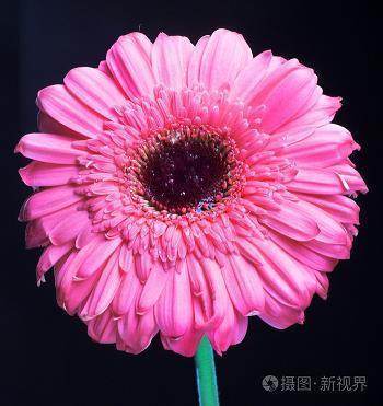 不一样的爱