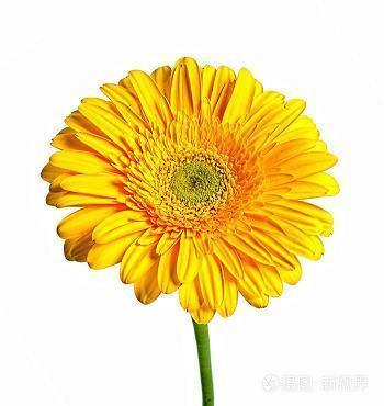山水这边最美——走进丽水