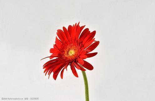为什么人睡着了会磨牙-