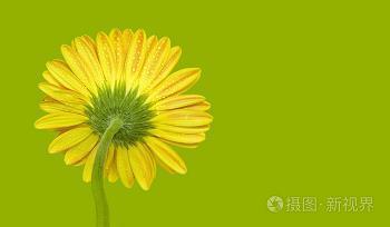 异闻传说成语接龙游戏