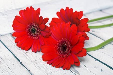 万古留芳成语接龙游戏