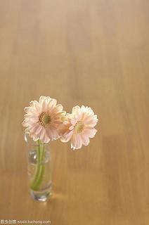 弄月吟风成语接龙游戏