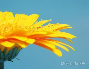 好骑者堕成语接龙游戏