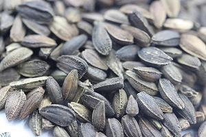 盥耳山栖成语接龙游戏