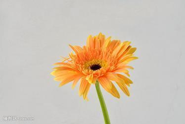 外愚内智成语接龙游戏
