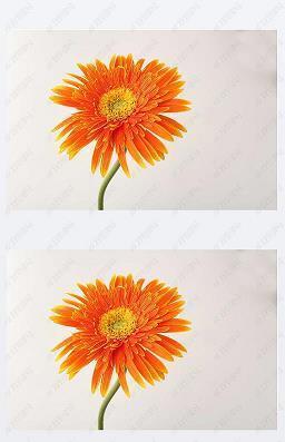 描眉画眼成语接龙游戏