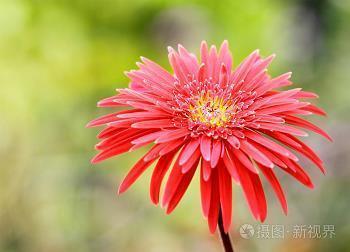 持橐簪笔成语接龙游戏
