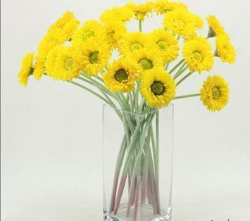 九月的荷花_小学生作文,二年级作文,二年级写景作文_匿名完美作文