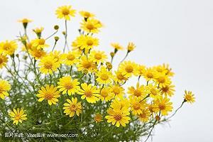 姥爷姥姥给我过生日
