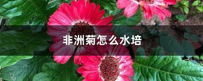 万古长春成语接龙游戏