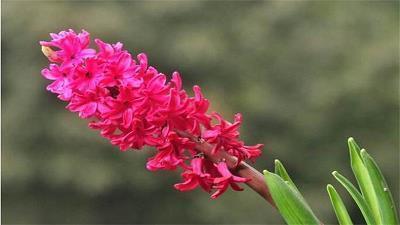 一个人的中秋节