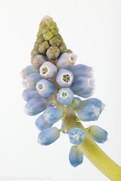 中秋节庆团圆