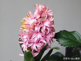 回家的路