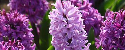 槃根错节成语接龙游戏