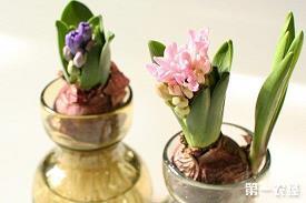 “金山画王”_小学生作文,六年级作文,六年级写景作文_莫以完美作文