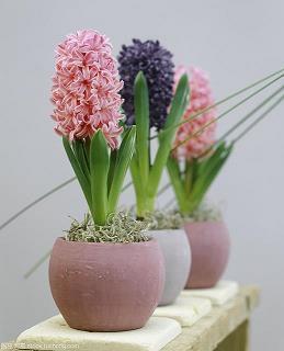 一节游戏课