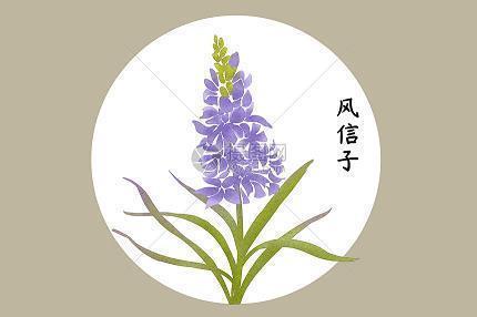 三豕涉河成语接龙游戏