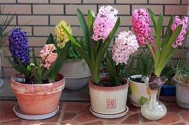 大街旁的小学