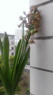 贪惏无餍成语接龙游戏