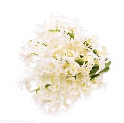 一花独放不是春，百花齐放春满园_小学生作文,六年级作文,六年级叙事作文_陈焰完美作文