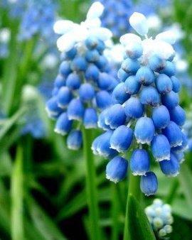 上海世博会主题：城市，让生活更美好