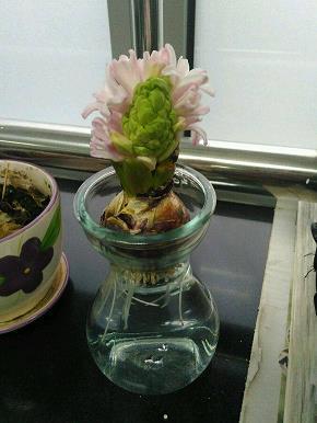 突飞猛进造句-用突飞猛进怎么造句