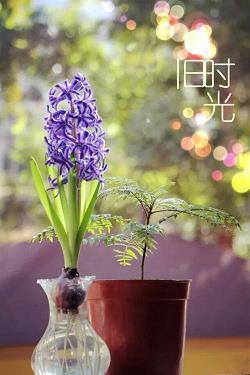 浑俗和光成语接龙游戏