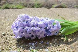 《梦想在现实的边缘》
